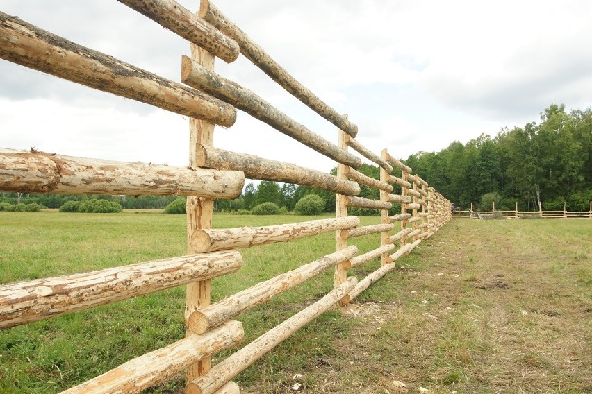 Zagroda na terenie Nadleśnictwa Żednia.