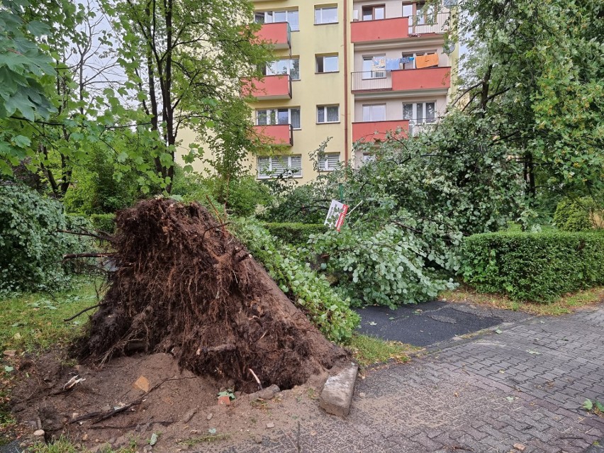 Chrzanów. Uszkodzone dachy, powalone drzewa i zniszczone samochody. 115 interwencji straży to bilans burzy [ZDJĘCIA]  AKTUALIZACJA