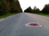 "Kwiaty" na drodze Rzepniki - Białystok. Ktoś w ten sposób zamalował dziury (zdjęcia)