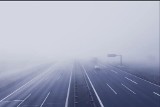 Uwaga na gęste mgły na świętokrzyskich drogach. Są fatalne prognozy dla kierowców. W jakich godzinach będzie najgorzej?