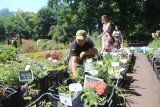 ZOBACZ. Festiwal kwiatów – warsztaty, stoiska, orkiestra i poezja w Ogrodzie Botanicznym w Zabrzu