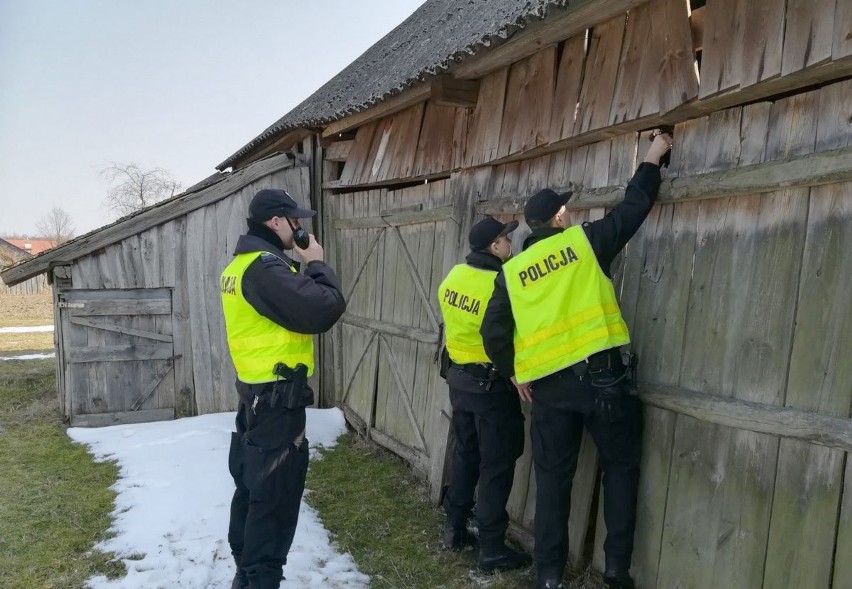 Gmina Białobrzegi. Wielka obława na uciekinierów z zakładu karnego w Stawiszynie. Zostali zatrzymani. Grozi im 2 lata więzienia więcej