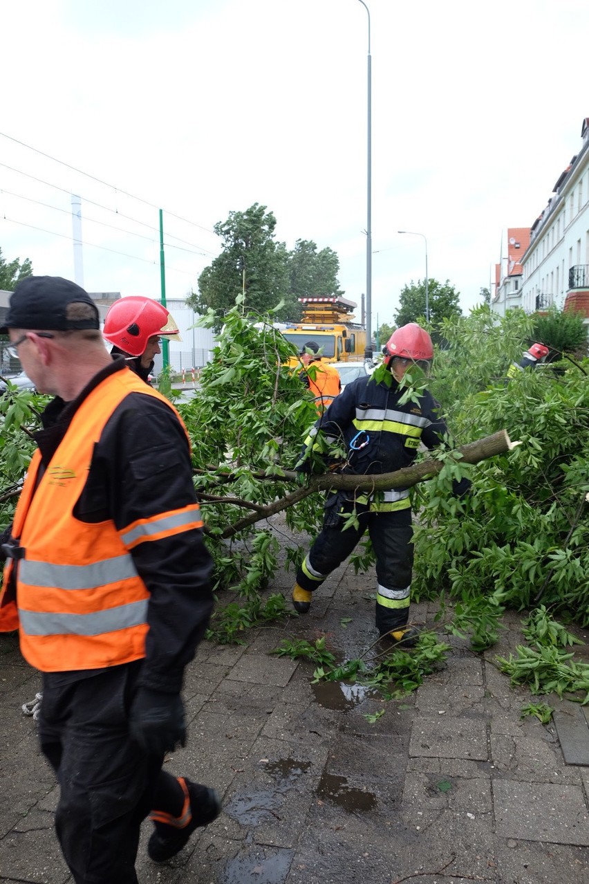 Nawałnica w Poznaniu: Powalone drzewo zablokowało ruch