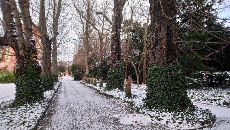 Za kilka dni otwierają Ogród Botaniczny Uniwersytetu Wrocławskiego (ZDJĘCIA)