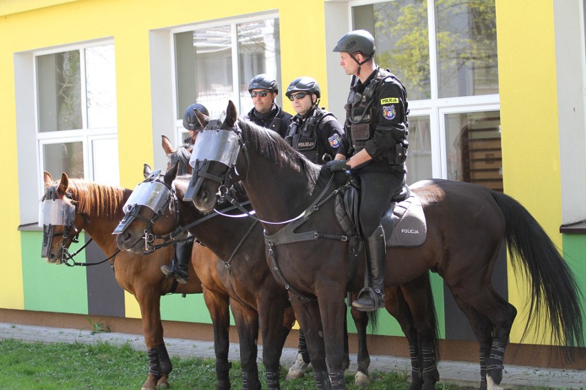 Siarka Tarnobrzeg -Widzew Łódź - doping kibiców!