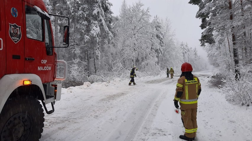 Atak zimy w Radomiu i regionie radomskim. Trudne warunki na drogach, powalone drzewa. Strażacy mają pełne ręce roboty. Śledź raport