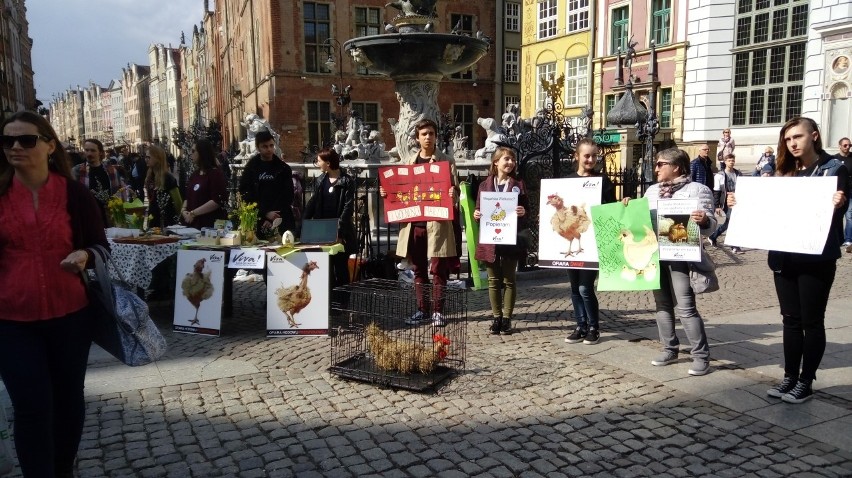 Akcja "W te święta poprę zwierzęta" w Gdańsku [ZDJĘCIA]