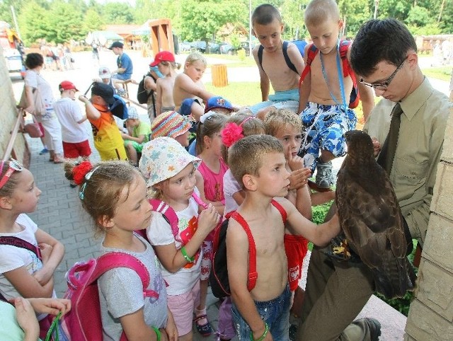 Dzieci ze Szkoły Podstawowej numer 5 w Kielcach były bardzo zainteresowane myszołowem. Mogły dowiedzieć się wielu ciekawostek na temat tych ptaków.