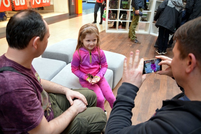 Egzotyczne zwierzaki w Felicity. Zobacz węża, skorpiona i legwana [ZDJĘCIA]