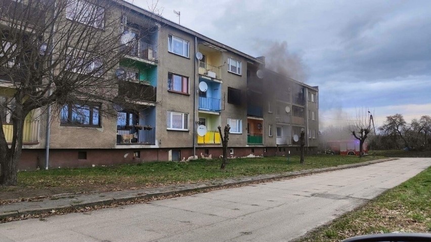 Policja poszukuję 24-letniego mężczyzny. Jest podejrzewany o...