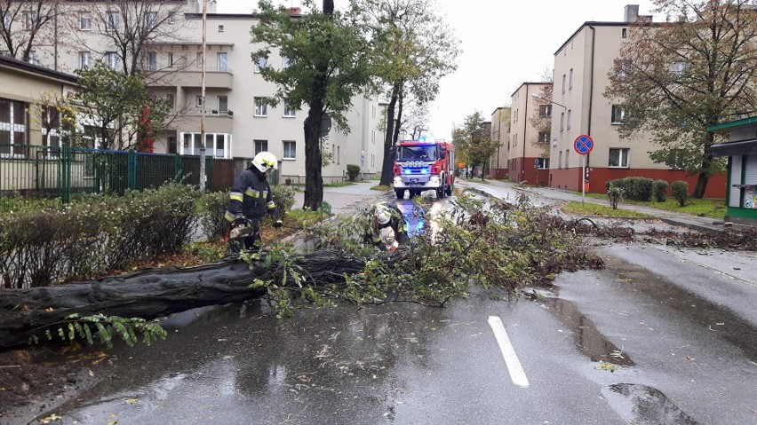 Skutki Orkanu Grzegorz w Katowicach, które usuwali strażacy...