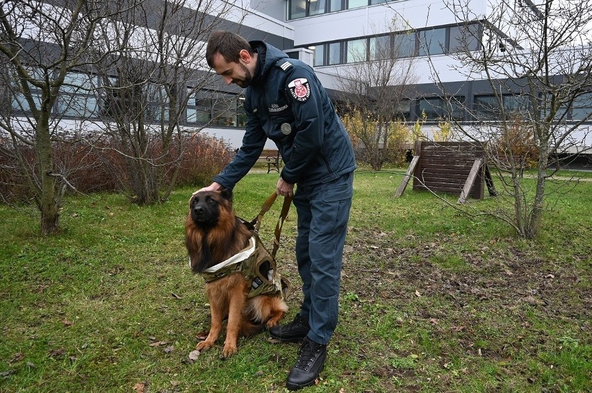 Szkolenie z udzielania pierwszej pomocy psom służbowym.