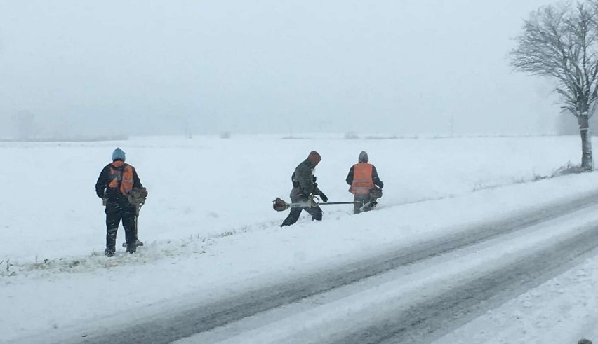 Zdjęcia z koszenia trawy w śniegu obiegają cały kraj....