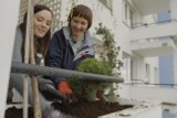 „Twój kawałek ogrodu” - nowy program na DOMO+ od 14 maja