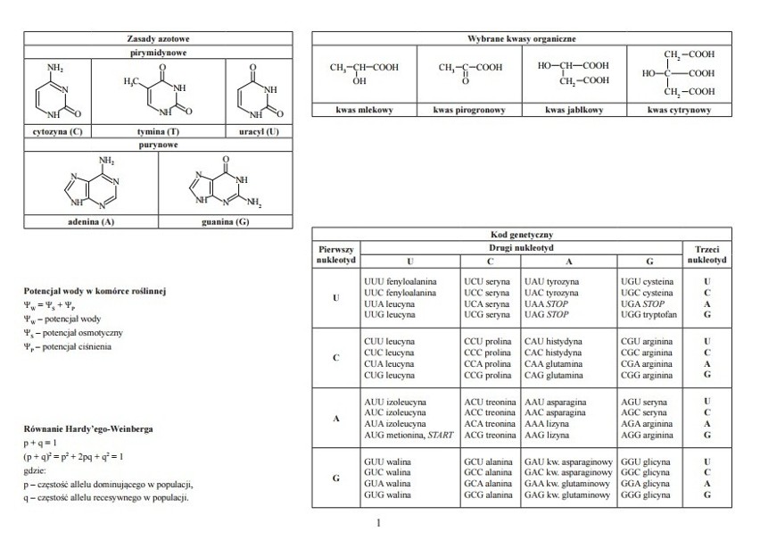 Matura 2019. Karty wzorów na biologię, chemię i fizykę. Sprawdź, z czego możesz korzystać 