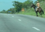 Na koniu po autostradzie. Takie sytuacje zapierają dech w piersiach nawet na głównych drogach Kuby