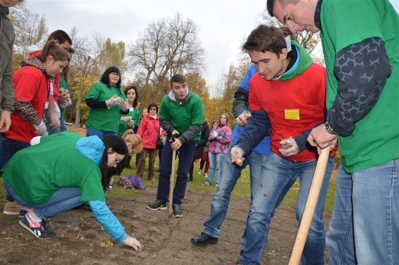 Pola Nadziei po raz szósty zakwitną w Wyszkowie (zdjęcia)