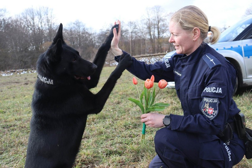 Goran - policyjny pies wie jak się zachować. 8 marca przed...
