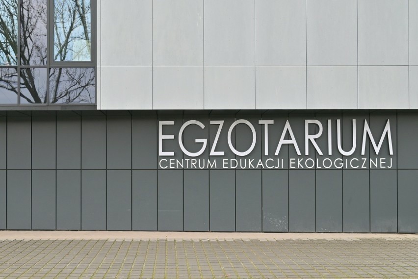 Zmodernizowane Centrum Edukacji Ekologicznej – Egzotarium w...