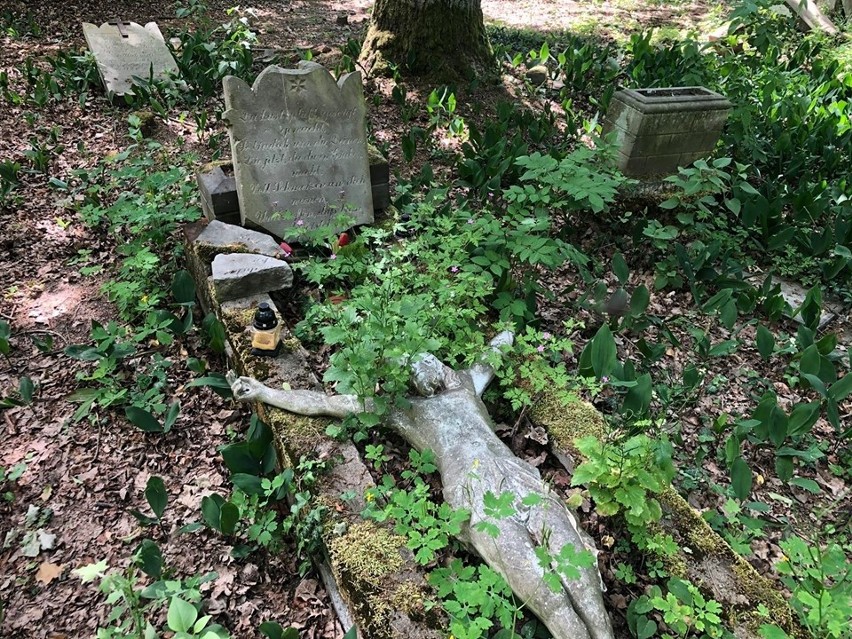 Cmentarz w Zielonej Górze Janach pochodzi z przełomu XIX i...
