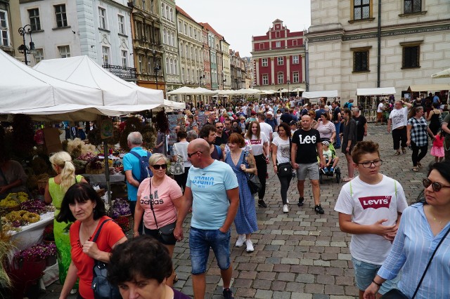 Trwa Festiwal Dobrego Smaku 2019. Od kilku dni na płycie Starego Rynku stoją drewniane budki, gdzie mieszkańcy i turyści mogą spróbować przysmaków z całego świata.Przejdź do następnego zdjęcia ----->