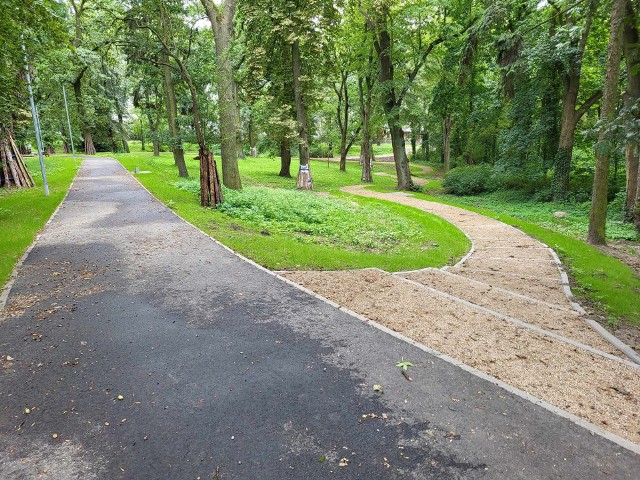 Park przy ul. Hożej w Szczecinie