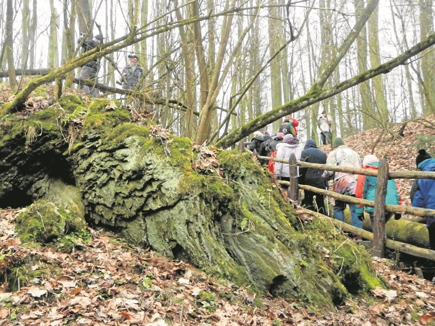 Wychodnia plejstoceńska, czyli skała "wychodząca" spod ziemi...