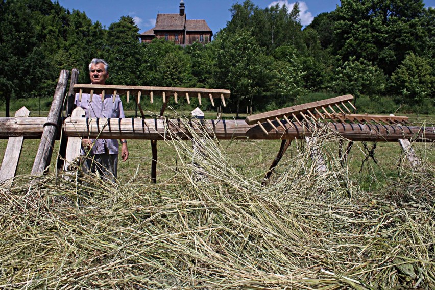 Muzeum Wsi Lubelskiej urządziło sianokosy jak przed laty. Kosiarze wyszli na łąkę, kobiety chwyciły za drewniane grabie (ZDJĘCIA)