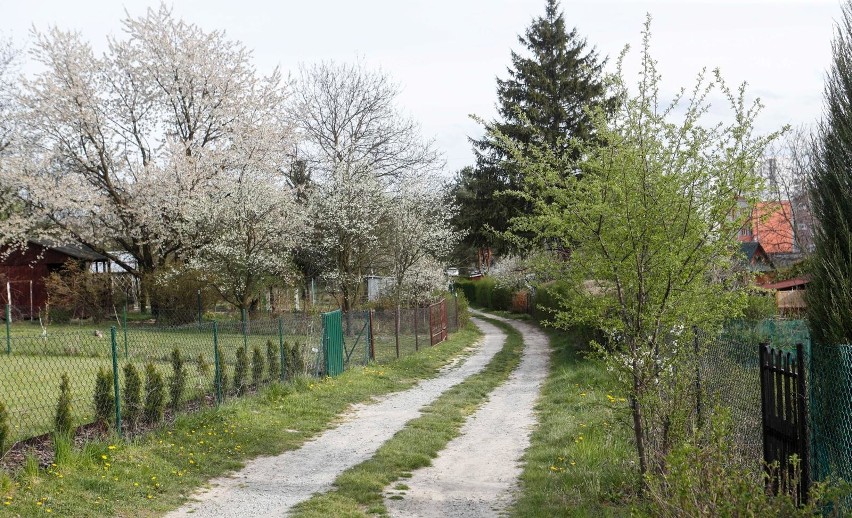 Będziemy bronić naszych działek ze wszystkich sił - zapowiadają działkowcy z ogrodów "Zdrowie" w Rzeszowie