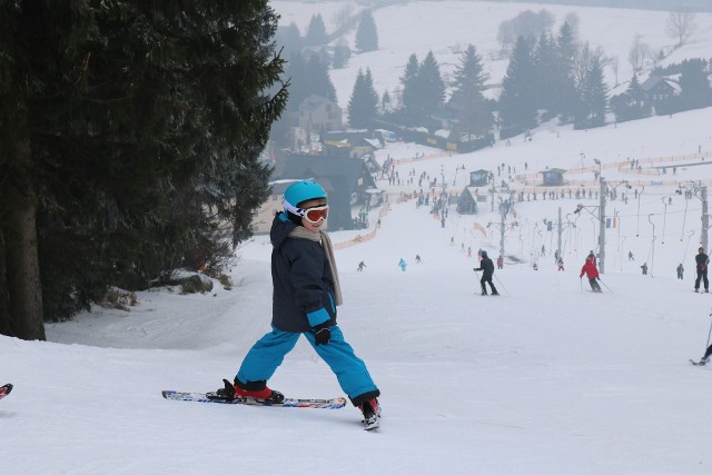 Ferie w Lubuskiem potrwają od 17 do 30 stycznia.