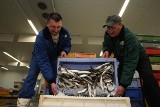 Aukcję Rybną w Ustce kupią rybacy