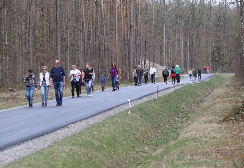 Wybierasz się do Królewskich Źródeł w Puszczy Kozienickiej koło Pionek? Przeczytaj koniecznie jak tam dojechać!