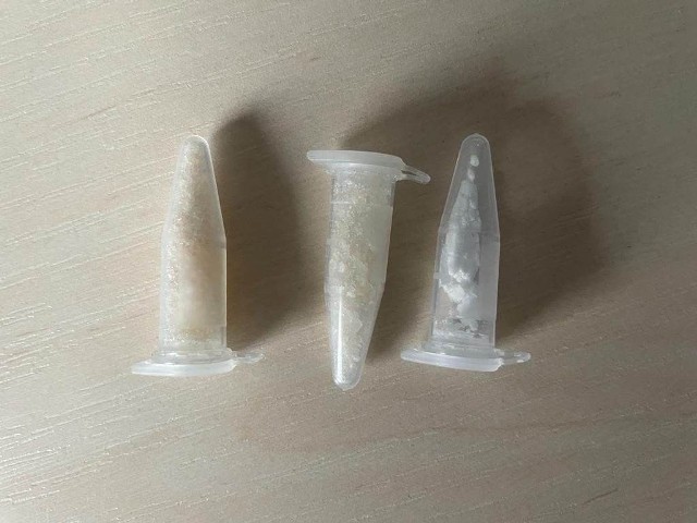Policjanci znaleźli u 21-letniego mieszkańca Piekoszowa biały proszek, wstępnie zidentyfikowany jako amfetamina.