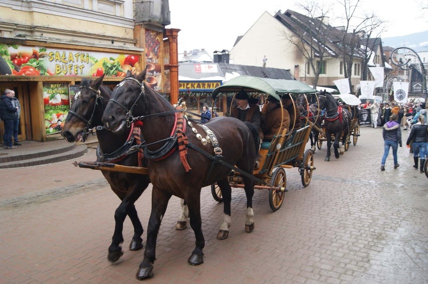 30 urodziny Teatru Witkacego