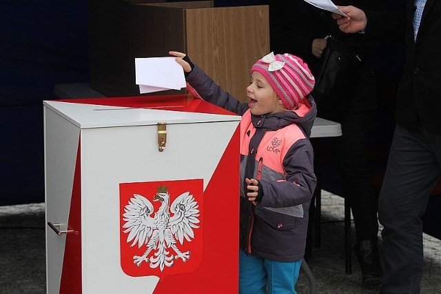 Prawybory do Sejmiku 2014 w Daleszycach