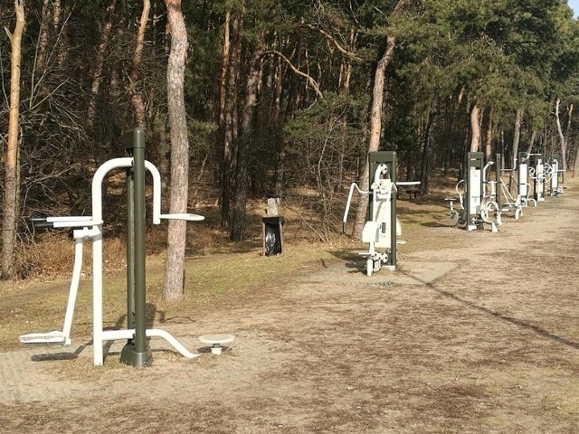 W Toruniu można korzystać z wielu siłowni zewnętrznych