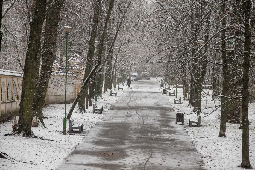 Pogoda w Podlaskiem. W nocy temperatura może spaść do minus 10 stopni Celsjusza. Tak zimno o tej porze roku dawno nie było 