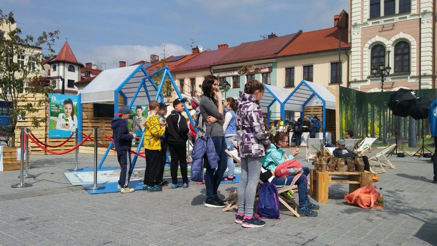 Piknik Po Stronie Natury w Żywcu. Atrakcje na rynku, a w parku sadzenie drzew ZDJĘCIA