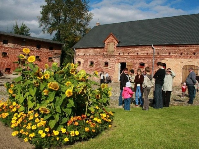 Dzieci uczestniczące w wakacyjnych zajęciach w bibliotece wzięły udział wycieczki do skansenu w Mniszkach. To jedna z atrakcji Ziemi Międzychodzkiej.