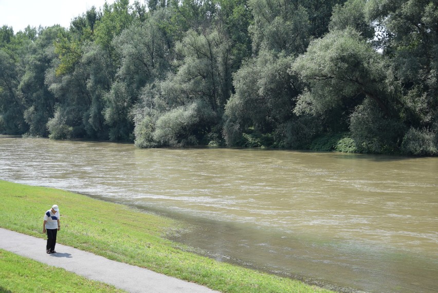 Spacerowiczów w niedzielne popołudnie nie brakowało