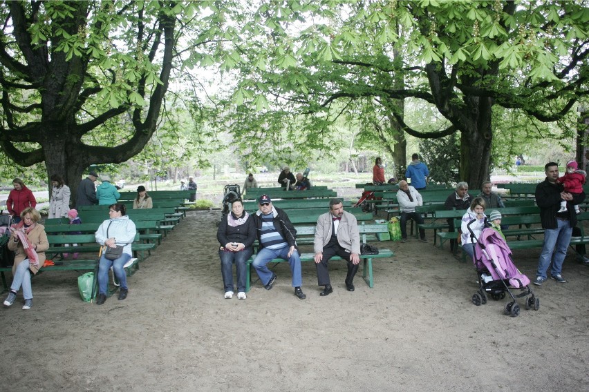 Ogród Botaniczny UAM będzie zimą otwarty