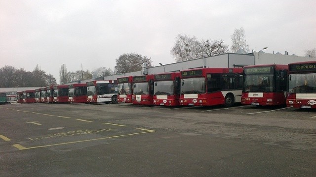 Na zamieszaniu z mandatami straci przede wszystkim Miejski Zakład Komunikacji