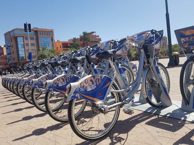 Tak prezentują się rowery z logiem Politechniki Łódzkiej przy jednej ze stacji systemu „Medina Bike”