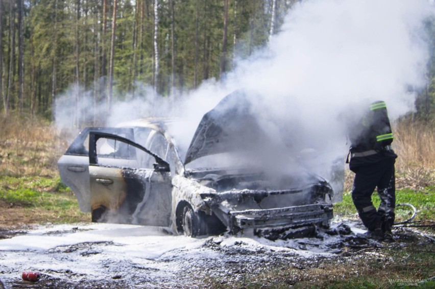 Czołnowo. Ford spłonął na skraju lasu [ZDJĘCIA]