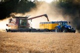 Reakcja Komisji Europejskiej na problemy z ukraińskim zbożem. Wiceminister rolnictwa Krzysztof Ciecióra komentuje propozycje
