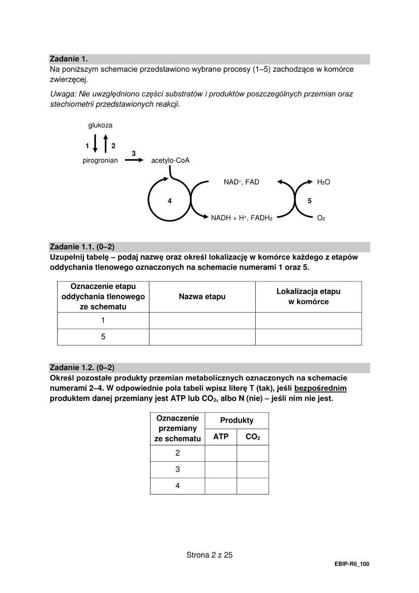 Matura 2022. Biologia. Odpowiedzi, pytania, rozwiązania,...