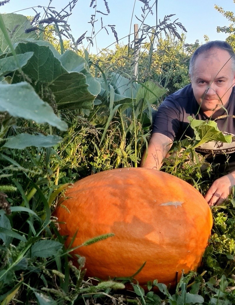 Wojciech Ćwierz jest ogrodnikiem - amatorem i ma rękę do...