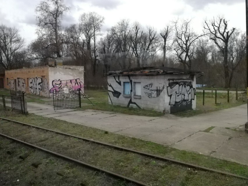 Między Toruniem Wschodnim a Kluczykami. Widok z okna pociągu