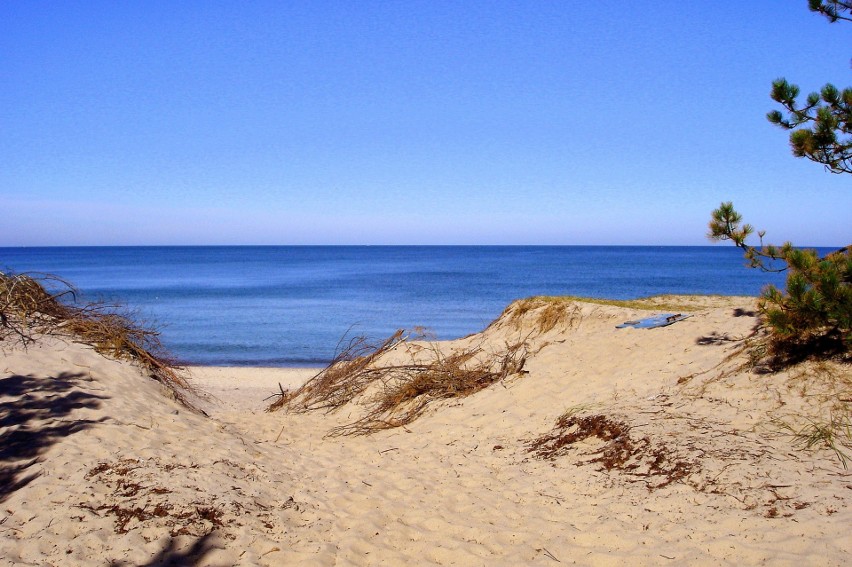 Atrakcją Wicia jest czysta plaża położona wyjątkowo blisko...