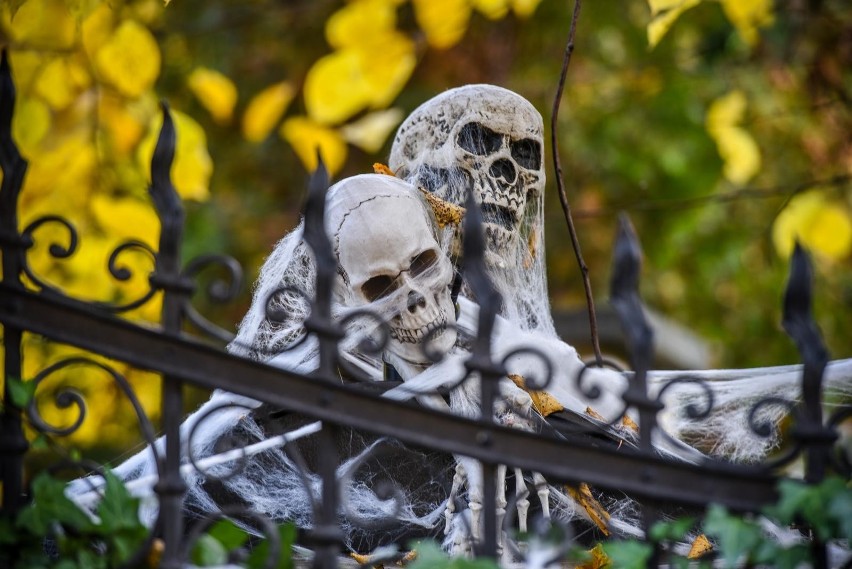 Halloweenowe dekoracje przy willi na ul. Jaśkowa Dolina w...